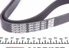 Поліклиновий ремінь VOLVO 850, 960, S40 I, V40 AUDI A8 D3 CITROEN XANTIA, XM OPEL ASTRA H, ASTRA H GTC, ASTRA H/KOMBI SUBARU TRIBECA 1.6-4.0D 08.90- DAYCO 6PK1625 (фото 3)