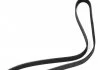 Поліклиновий ремінь VOLVO 850, C70 I, S70, S90 I, V70 I, V90 I, XC70 I CHEVROLET CRUZE, TRAX CHRYSLER SEBRING, VOYAGER IV CITROEN C4 GRAND PICASSO I, C4 II, C4 PICASSO I 1.0-2.9 06.91- DAYCO 6PK1250 (фото 2)