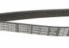 Дорiжковий ремінь DAYCO 5PK1200 (фото 3)