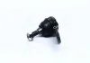 Опора кульова нижня Ford Focus 04-11 (вир-во) CTR CBF24 (фото 1)