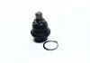 Опора кул нижня Nissan Pathfinder 04-12 Patrol Y62 Infiniti QX56 11-13 QX80 NEW CB0340 (вир-во) CTR CBN81 (фото 1)