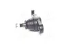 Опора шаровая нижняя L Hyundai Tucson 05- KIA Sportage 06- NEW CB0203 (пр-во) CTR CBKH36 (фото 1)