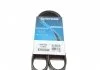 Поліклиновий ремінь IVECO DAILY III CITROEN C2, C2 ENTERPRISE, C3 I, C3 II, C3 PLURIEL, C4, C4 I LEXUS RX OPEL ASTRA H, ASTRA H GTC, ASTRA H/KOMBI, SIGNUM, VECTRA C 1.1-3.0 10.86- DAYCO 6PK1050 (фото 1)