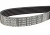 Поліклиновий ремінь IVECO DAILY III CITROEN C2, C2 ENTERPRISE, C3 I, C3 II, C3 PLURIEL, C4, C4 I LEXUS RX OPEL ASTRA H, ASTRA H GTC, ASTRA H/KOMBI, SIGNUM, VECTRA C 1.1-3.0 10.86- DAYCO 6PK1050 (фото 2)