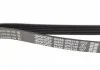 Ремень поликлин. (пр-во) DAYCO 6PK2145 (фото 2)