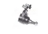 Опора кульова нижня Land Rover Freelander 06-14 (вир-во) CTR CBTA2 (фото 4)