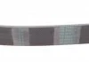 Поліклиновий ремінь CHEVROLET AVEO / KALOS CHRYSLER PT CRUISER LADA KALINA NISSAN BLUEBIRD, MAXIMA / MAXIMA QX IV, MICRA II, PRAIRIE PRO, SUNNY II TOYOTA AURIS 1.0-2.0 04.84-12.13 CONTITECH 6PK884 (фото 3)