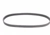 Поліклиновий ремінь CHEVROLET AVEO / KALOS CHRYSLER PT CRUISER LADA KALINA NISSAN BLUEBIRD, MAXIMA / MAXIMA QX IV, MICRA II, PRAIRIE PRO, SUNNY II TOYOTA AURIS 1.0-2.0 04.84-12.13 CONTITECH 6PK884 (фото 5)