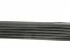 Доріжковий пас DAYCO 6PK1815 (фото 6)