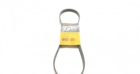 Ремінь поліклиновий CONTITECH 5PK955