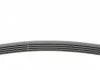 Ремень поликлиновой (Пр-во ContiTech) CONTITECH 5PK1800 (фото 2)