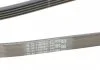 Ремень поликлиновой (Пр-во ContiTech) CONTITECH 5PK1800 (фото 3)