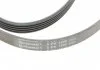 Ремень поликлиновой (Пр-во ContiTech) CONTITECH 5PK1800 (фото 4)