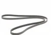 Ремень поликлиновой (Пр-во ContiTech) CONTITECH 5PK1800 (фото 5)