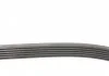 Ремень поликлиновой (Пр-во ContiTech) CONTITECH 6PK1033 ELAST (фото 2)