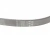 Ремень поликлиновой (Пр-во ContiTech) CONTITECH 6PK1033 ELAST (фото 3)