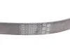 Ремень поликлиновой (Пр-во ContiTech) CONTITECH 6PK1380 (фото 2)