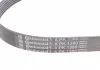 Ремень поликлиновой (Пр-во ContiTech) CONTITECH 6PK1380 (фото 3)