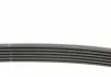 Поликлиновой ремень FORD FIESTA 1.0 0/12- (Пр-во Contitech) CONTITECH 6PK1502 EXTRA (фото 2)