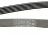 Поликлиновой ремень FORD FIESTA 1.0 0/12- (Пр-во Contitech) CONTITECH 6PK1502 EXTRA (фото 3)
