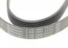 Поликлиновой ремень FORD FIESTA 1.0 0/12- (Пр-во Contitech) CONTITECH 6PK1502 EXTRA (фото 4)