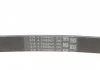 Ремень поликлиновой (Пр-во ContiTech) CONTITECH 5PK1680 (фото 3)