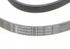 Ремень поликлиновой (Пр-во ContiTech) CONTITECH 5PK1680 (фото 4)