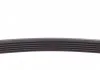 Полікліновий ремінь MERCEDES-BENZ E-CLASS (W210) (Вир-во Contitech) CONTITECH 6PK1330 (фото 4)