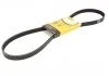 Поликлиновой ремень Volvo (Пр-во Contitech) CONTITECH 5PK1121 EXTRA (фото 1)