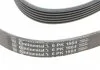 Ремень поликлиновой (Пр-во ContiTech) CONTITECH 6PK1564 (фото 3)