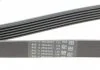 Ремень поликлиновой (Пр-во ContiTech) CONTITECH 6PK1564 (фото 4)