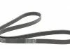 Ремень поликлиновой (Пр-во ContiTech) CONTITECH 6PK1564 (фото 5)