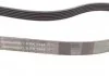 Полікліновий ремінь CITROEN C4 II (B7) 2.0 Hdi 11/09- (Вир-во Contitech) CONTITECH 6PK1244 (фото 2)