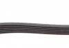 Полікліновий ремінь CITROEN C4 II (B7) 2.0 Hdi 11/09- (Вир-во Contitech) CONTITECH 6PK1244 (фото 3)