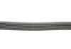 Поліклиновий ремінь CHEVROLET CRUZE, EPICA, LACETTI, NUBIRA HONDA CIVIC IX 1.6/1.8/2.0D 01.05- CONTITECH 6PK2094 (фото 2)