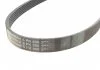 Ремень поликлиновой (Пр-во ContiTech) CONTITECH 6PK880 (фото 2)