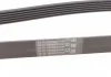 Ремень поликлиновой (Пр-во ContiTech) CONTITECH 6PK1805 (фото 2)
