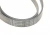 Полікліновий ремінь LEXUS RX 350 01/06-12/08 (Вир-во Contitech) CONTITECH 7PK2090 (фото 4)