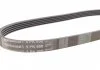 Ремень поликлиновой (Пр-во ContiTech) CONTITECH 5PK950 (фото 2)