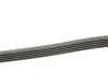 Ремень поликлиновой (Пр-во ContiTech) CONTITECH 5PK1570 (фото 2)