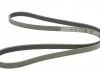 Ремень поликлиновой (Пр-во ContiTech) CONTITECH 5PK1570 (фото 4)