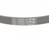 Ремінь полікліновий (Вир-во ContiTech) CONTITECH 5PK868 ELAST (фото 3)