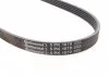 Поликлиновой ремень (Пр-во Contitech) CONTITECH 5PK1070 (фото 2)