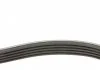 Поліклиновий ремінь FORD MONDEO I, MONDEO II 1.8D 06.93-09.00 CONTITECH 5PK585 (фото 2)