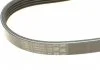 Поліклиновий ремінь FORD MONDEO I, MONDEO II 1.8D 06.93-09.00 CONTITECH 5PK585 (фото 3)