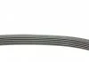 Ремень поликлиновой (Пр-во ContiTech) CONTITECH 6PK1005 (фото 2)