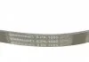 Ремень поликлиновой (Пр-во ContiTech) CONTITECH 6PK1005 (фото 4)