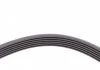 Поликлиновой ремень BMW X1 (E84) xDrive 18 d 10/09-06/15 (Пр-во Contitech) CONTITECH 6PK1780 (фото 4)
