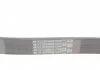 Ремень поликлиновой (Пр-во ContiTech) CONTITECH 6PK1042 ELAST (фото 3)