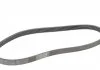 Ремень поликлиновой (Пр-во ContiTech) CONTITECH 6PK1042 ELAST (фото 5)